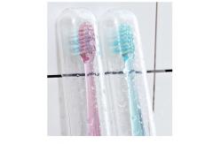 China Simple Portable Small 2 Toothbrushes Travel Toothbrush Storage Box supplier