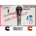 Engineering Machinery QSK19 Truck Engine System Accessories 0986435615 Diesel Fuel Injector