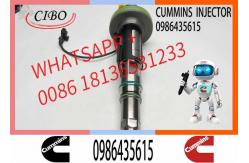 China Engineering Machinery QSK19 Truck Engine System Accessories 0986435615 Diesel Fuel Injector supplier