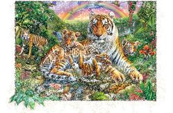 China PET Plastic Material 5D Lenticular Image Frosted / Matte Finish supplier