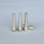 Cylindrical Head Screws Allen M5 Stainless Steel Machine Screws Silverplated SS316 Material for sale