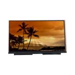 VVX16T010J00 15.5 inch 355 cd/m2 eDP LCD Display Screen Panel for sale