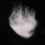 Packing Material 51mm PE/PP ES Fiber White Artificial Flame Retardant Fiber for sale