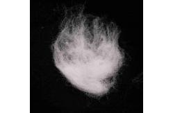China Packing Material 51mm PE/PP ES Fiber White Artificial Flame Retardant Fiber supplier
