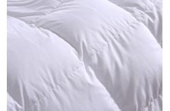 China Light Weight  ISO9001 W200cm Duck Down Duvet supplier