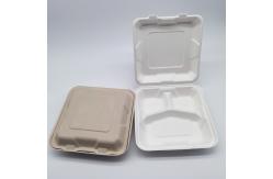 China 3 Compartment Biodegradable Clamshell Food Containers 9 Inch Greaseproof supplier