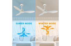 China Domestic ABS Fan 3 Blades 42 Inches Remote Control Frequency Conversion Ceiling Fan supplier