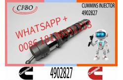 China 4062090 Diesel Engine Common Rail QSX23 Fuel Injector 4077076 4902827 4088431 4076533 supplier