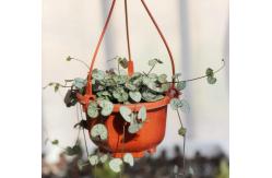 China various customize  plastic hanging hook hanging flower pot on balcony in room supplier