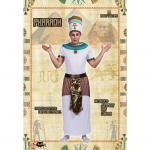 Customize Pharaoh Cosplay Set for Adults Party Performance Halloween Customized