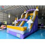 Supplier Commercial Cloud Lightning Inflatable Slide Inflatable Dry Slides Castle