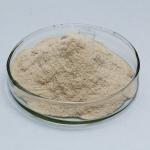 Customized Protease In Baking 50000U/G-500000U/G Flour Gluten Reduction for sale