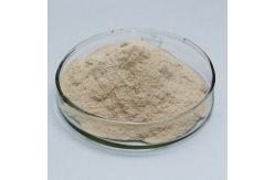 China 200000U/G Subtilisin Enzyme Used For Protein Peptide And Feed Processing supplier
