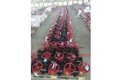 China Fire Fighting Foam Concentrate manufacturer