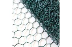 China hot dipped Powder  coated galvanized Hexagonal wire mesh from factory supplier