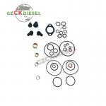 Fuel Pump Repair Kit 294009-0051 for HP4 Engine