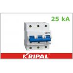 125 Amp MCB Mini Circuit Breaker / Small Magnetic Trip Circuit Breaker for sale