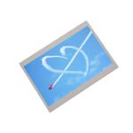5 inch tft 800*480 lcd touch screen AA050MG03--T3 lcd display for sale