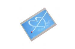 China 5 inch tft 800*480 lcd touch screen AA050MG03--T3 lcd display supplier