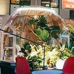 Diameter 3m Outdoor Bubble Tents PC Transparent Bubble Tent With LED for sale