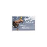 Original 5.9 inch TL059FVMP06-00 1080*2160 TFT LCD Screen for sale