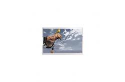 China Original 5.9 inch TL059FVMP06-00 1080*2160 TFT LCD Screen supplier
