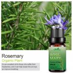 20ml Pure Natural Essential Oils Fragrance Included Leaves Raw Material for sale