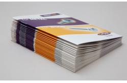 China Saddle Stitched Catalog Magazine Printing Customized Booklet Catalog Printing supplier