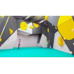 Wood Steel Plastic Indoor Climbing Wall For 6-50 Years Old for sale