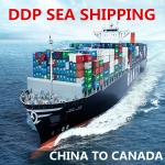 Door To Door Shipping Freight Forwarder China To Canada for sale