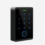 Electronic password control button