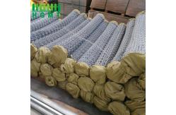 China Chain Link Fence Panels With Easy Installation And Galvanized Coating supplier