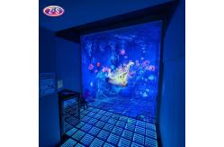 China Full-View Immersive Experience LED Projection Cinema 360° Surround Sound System supplier