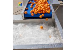 China 1500KG/H Fruit And Vegetable Processing Line cleaning Sorting Machine supplier