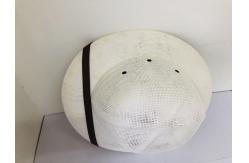 China Straw hat Sting Proof Beekeeping Protective Outfits Straw Material Beekeeper Hats supplier