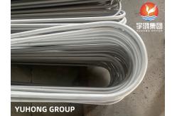 China ASME SA213 TP310S Seamless U Bend Tube Heat Exchanger Tube supplier