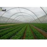 Customized Black Greenhouse Mesh Anti Aging Mesh Shade Cloth 100GSM
