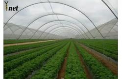 China Customized Black Greenhouse Mesh Anti Aging Mesh Shade Cloth 100GSM supplier