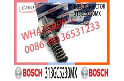 China Injector Pump 313GC5230M 313GC5230MX for DAF XF95 95XF 480 CF75-85 supplier