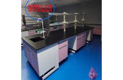 China Chemical Resistant  Chemistry Lab Workbench Wood Lab Casework With Multiple Cabinets supplier