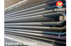 China ASTM A213 TP317L Seamless Stainless Steel U Tube For Heat Exchanger supplier