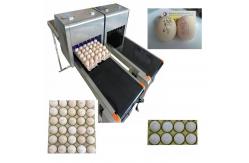 China Smart Eggs Inkjet Batch Coding Machine Can Print 120000 Characters Per Hour supplier