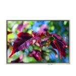 LTD121ECBP 12.1 inch 1024*768 LCD Screen Display for sale