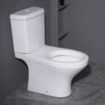 Washdown Floor Mounted Two Piece Toilets 3D Model Graphic Desgin for sale