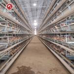 Electric Galvanized 5 Tiers 90 Birds Battery Chicken Cage Newest Design for sale
