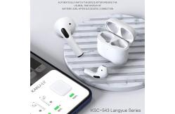China Customized TWS Wireless Earbuds Stylish Design Personalised Tech Gifts supplier
