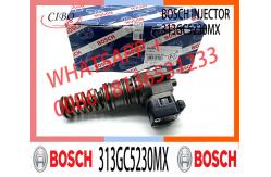 China Injector Pump 313GC5230M 313GC5230MX for DAF XF95 95XF 480 CF75-85 supplier