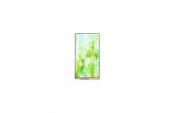 China 720*1612 PD066IA-04A 6.6 inch LCD Screen with Mobile Phone supplier