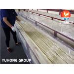ASTM B111 C44300 Seamless Copper Alloy Tube Brass Tube For Evaporator Tubing for sale