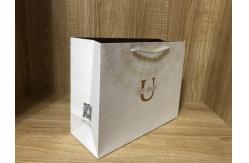 China Custom CMYK Printing Cardboard Shopping Bags With Nylon Rope Handle supplier